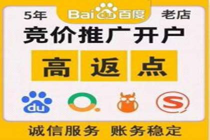 百度竞价代运营公司成功案例揭秘：策略与执行