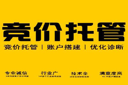 百度竞价优化技巧：实战案例深度剖析